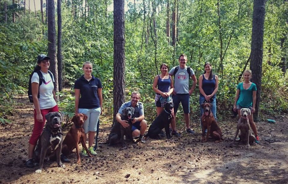 Erziehungskurs Wege zum Hund Hundeschule